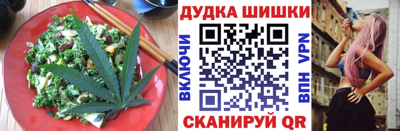 Купить где  Новосиль  Canna-Cookies конопля 
