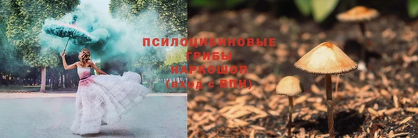 сатива Гусь-Хрустальный