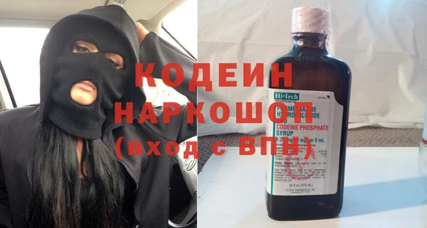сатива Гусь-Хрустальный