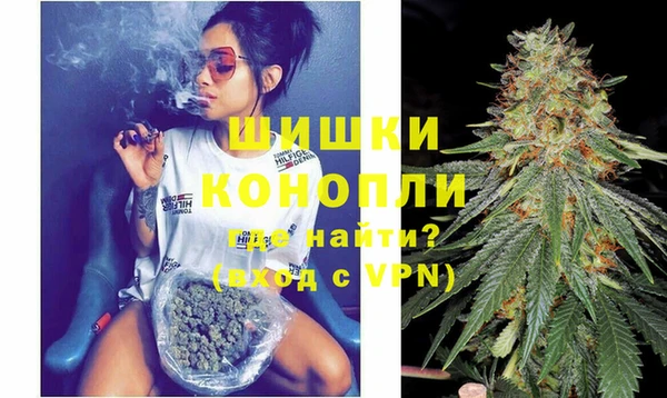 сатива Гусь-Хрустальный