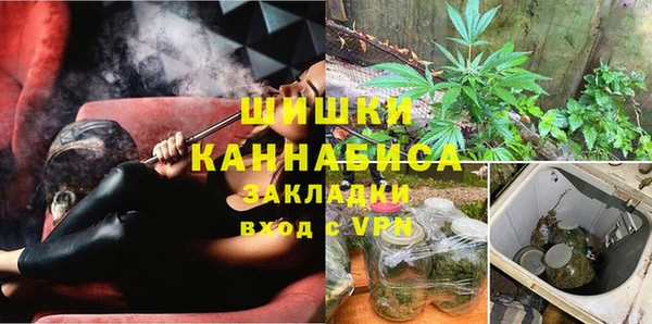 сатива Гусь-Хрустальный