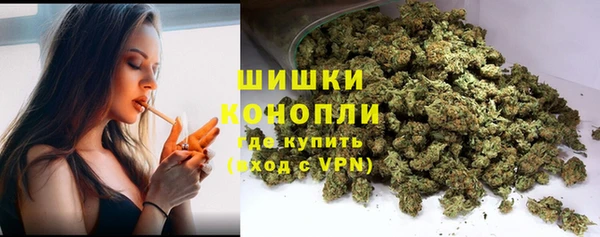 сатива Гусь-Хрустальный