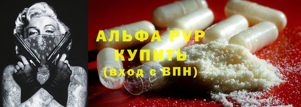 сатива Гусь-Хрустальный