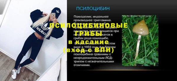 сатива Гусь-Хрустальный