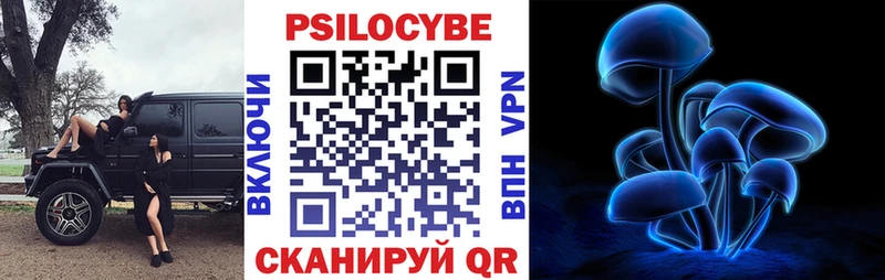 Купить  Новосиль  Псилоцибиновые грибы Cubensis 