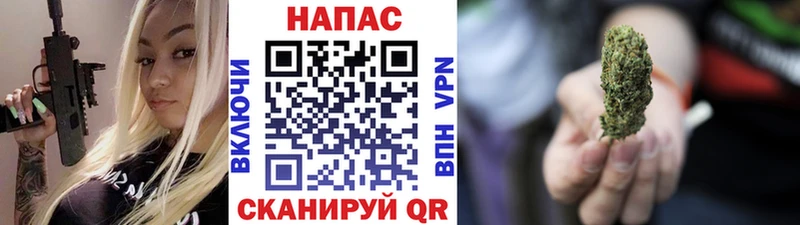 Купить где  Новосиль  Бошки марихуана планчик 